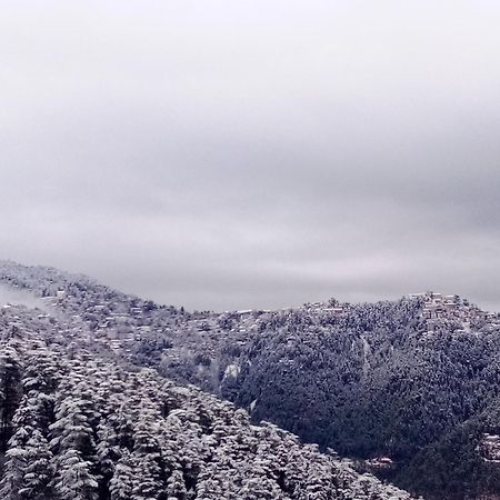 Shimla Regency Hotel Kültér fotó