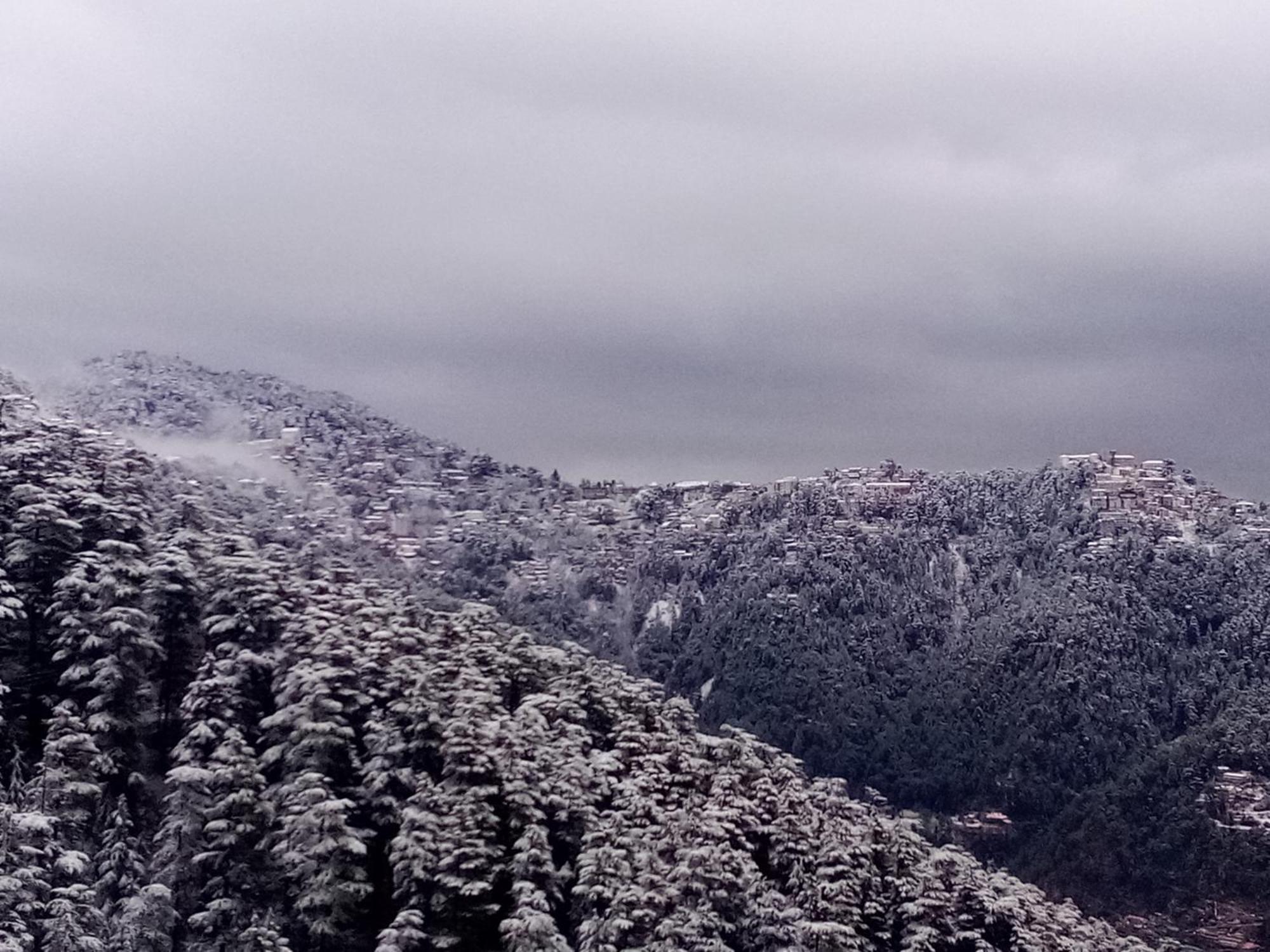 Shimla Regency Hotel Kültér fotó