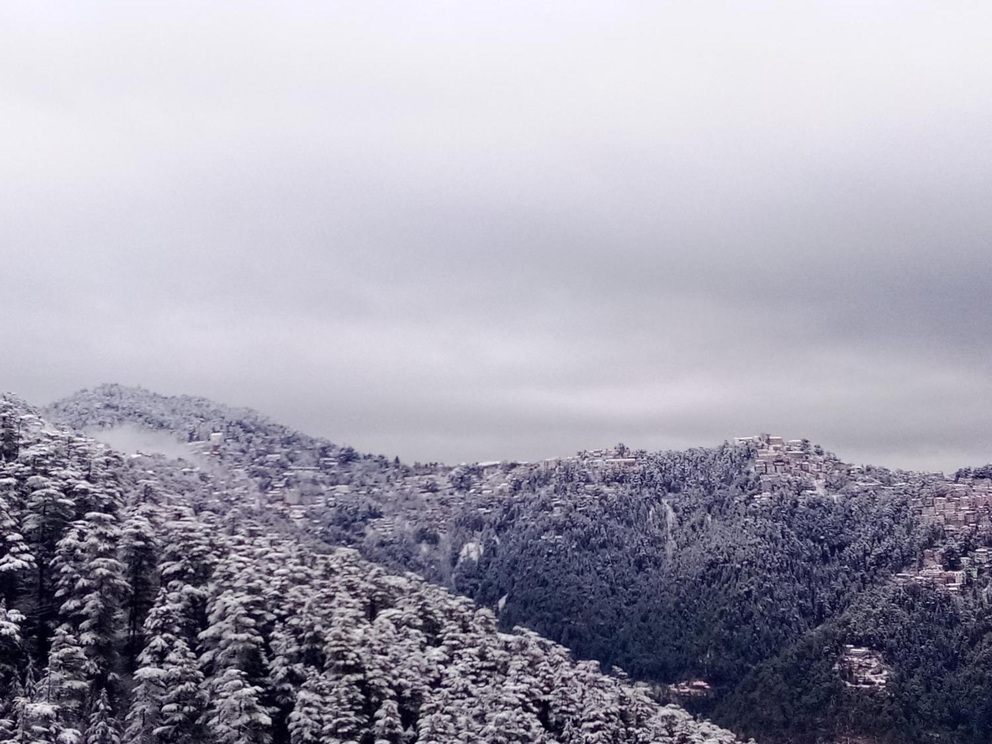 Shimla Regency Hotel Kültér fotó